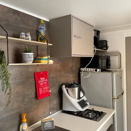 Mobil-home 4/6 Personnes Dans Un 4 Etoiles